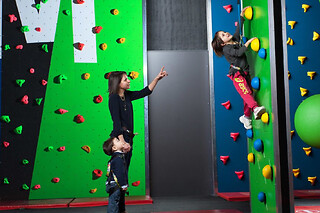 Escalade ludique en salle à Montpellier (34) - Fun Climb - Session d'1h, Monkey