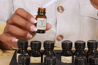 Atelier de création de Parfum chez Galimard à Paris
