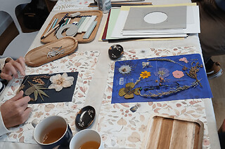 Atelier parent/enfant création d'un herbier artistique à Tours  - Atelier création d'un herbier artistique