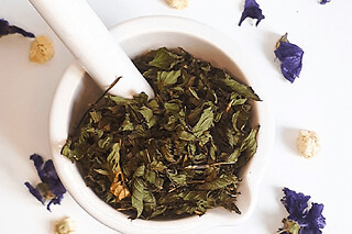 Atelier d'initiation à la phyto & aromathérapie à Nort-sur-Erdre