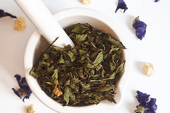 Atelier d'initiation à la phyto & aromathérapie à Nort-sur-Erdre