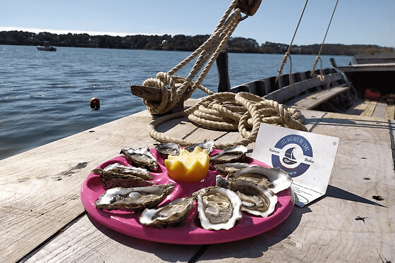Balade en barge sur la Ster Avel à Baden (56)