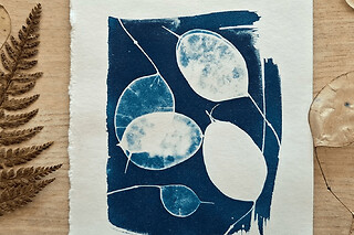 Atelier cyanotype à Nantes (44)