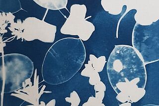 Atelier cyanotype à Nantes (44)