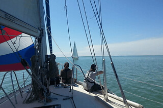 Sortie en mer matinée à La Rochelle (17)