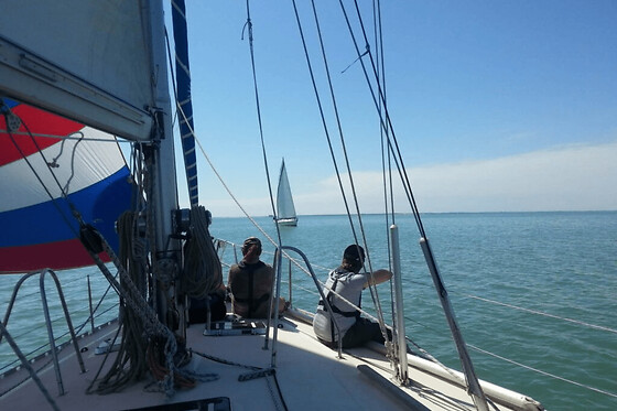 Sortie en mer matinée à La Rochelle (17)