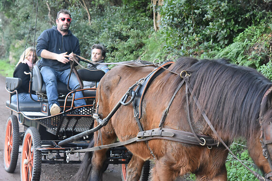 Séjour gourmand pour deux à La Bastide du Castellas à Saint-Raphaël (83)