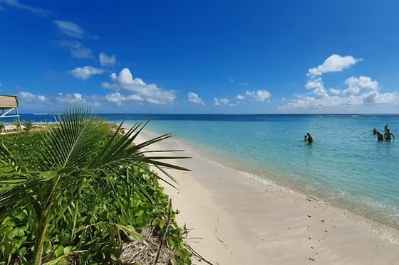 Excursion à l'îlet Caret depuis la Marina du Gosier (971)