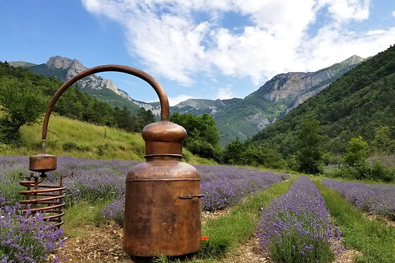 Atelier distillation de lavande à Chamaloc (26)