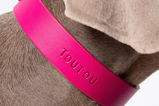 Atelier duo d'accessoires en cuir pour votre chien à Paris 2ème