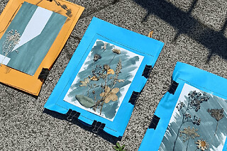 Atelier cyanotype à Strasbourg (67) - Tarif duo - parent/enfant