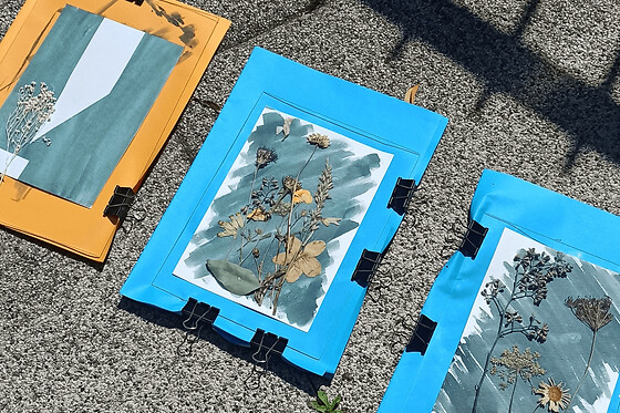 Atelier cyanotype à Strasbourg (67) - Tarif duo - parent/enfant