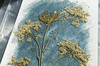 Atelier cyanotype à Strasbourg (67) - Tarif duo - parent/enfant