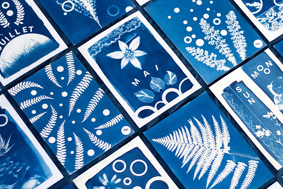 Atelier découverte du cyanotype à Nantes (44)