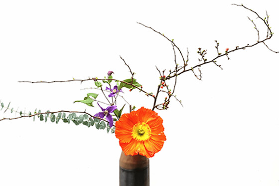 Atelier Ikebana à Paris 10ème