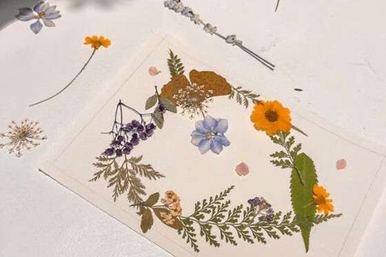 Atelier création d'un Herbier fleuris à Rouen (76)