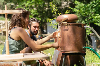 Initiation à la distillation artisanale à Nice (06)