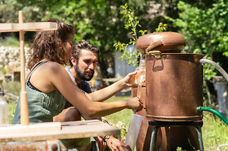 Atelier fabrication d'un élixir aux plantes médicinales à Nice