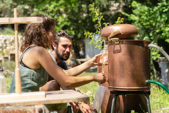 Atelier fabrication d'un élixir aux plantes médicinales à Nice