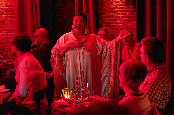 FLAMENCO DE LEONES - photo 4
