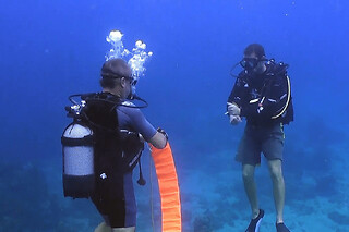 Formation à la plongée sous-marine SSI à Bouillante (971)