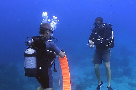 Formation à la plongée sous-marine SSI à Bouillante (971)