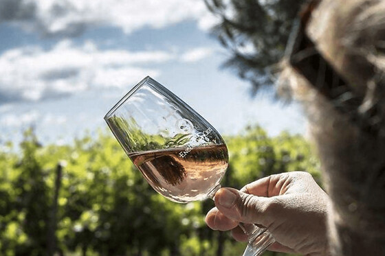 Visite et dégustation de vins et produits bio à Lansargues (34) - Dégustations de vins et produits bio + repas