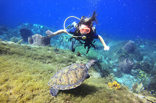 Journée catamaran snorkeling tortues aux Anses d'Arlet (972)