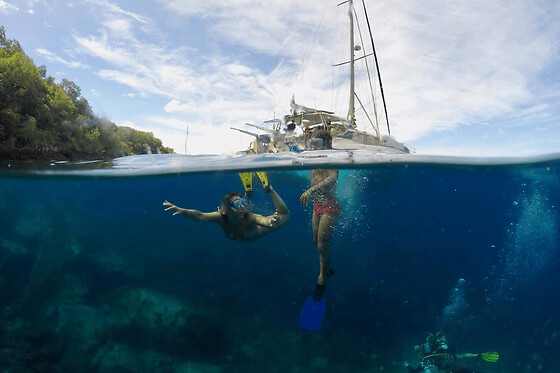 Journée catamaran snorkeling tortues aux Anses d'Arlet (972)