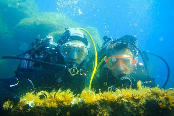 Pack découverte 2 plongées aux Iles Sanguinaires (20)