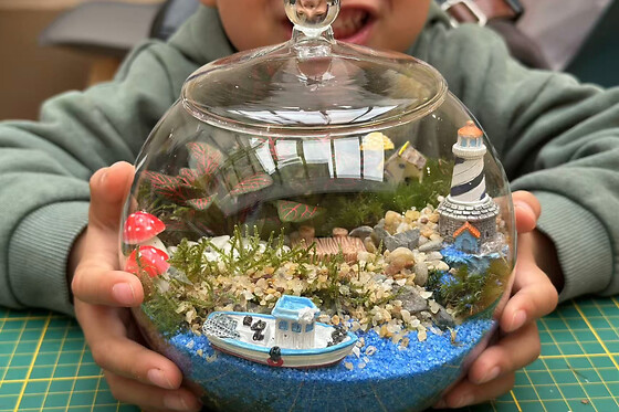 Atelier création d'un terrarium à Lagny-sur-Marne (77) - Taille L