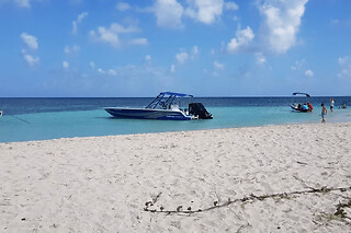 Excursion à la demi journée à Petite Terre (971)