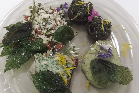 Cours de cuisine végétarienne aux plantes sauvages (67)