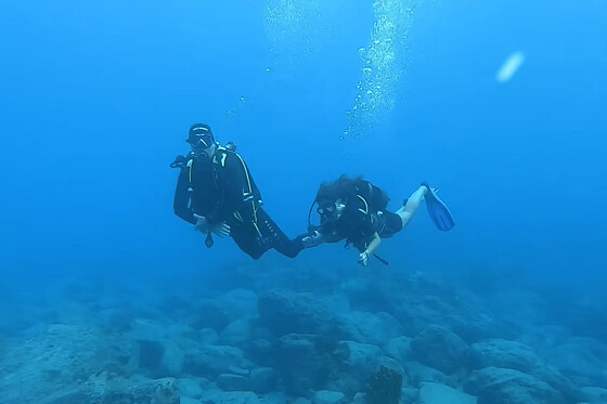 Plongée d'exploration guidée ou autonome en Guadeloupe (971) - Plongée exploration autonome - 1 plongée