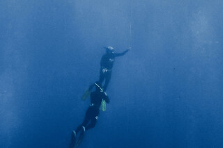 Initiation à l'apnée dans la réserve Cousteau à Bouillante (971)
