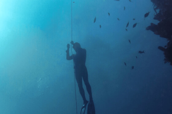 Initiation à l'apnée dans la réserve Cousteau à Bouillante (971)