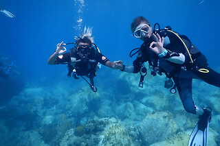 Baptême de plongée dans la Réserve Cousteau à Malendure (971) - Baptême 20 minutes
