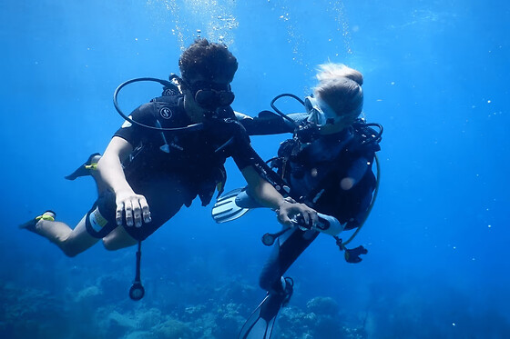 Baptême de plongée dans la Réserve Cousteau à Malendure (971) - Baptême 20 minutes