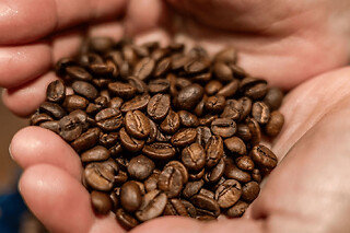 Atelier dégustation de café à l'aveugle à Paris 11ème
