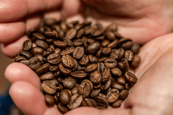 Atelier dégustation de café à l'aveugle à Paris 11ème