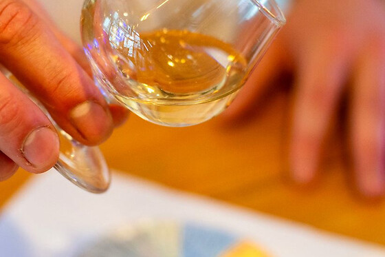 Atelier dégustation de Cognac et d'Armagnac à Paris 11ème