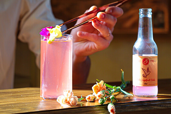 Atelier mixologie & création de cocktail à Bordeaux (33)