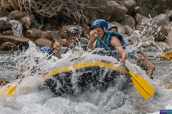 Rafting demi-journée dans les Gorges du Verdon (04)