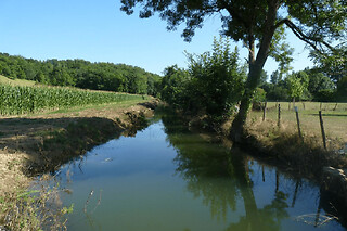 Pique nique et Paddle sur le canal du Moulin de Sabathier (64)