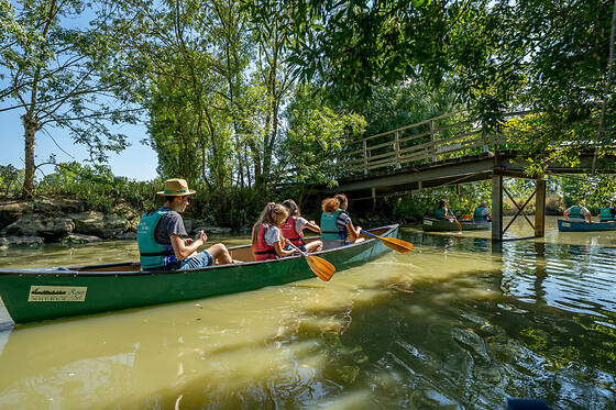 Balade guidée en Canoë à Sallertaine (85)