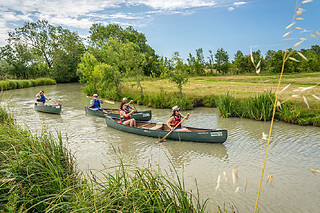 Balade guidée en Canoë à Sallertaine (85)