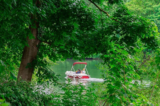 Location de bateau électrique (5 pers. max) à Bougival - Location Ace 1 heure