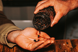 Atelier dégustation & assemblage de Gin à Bordeaux (33)