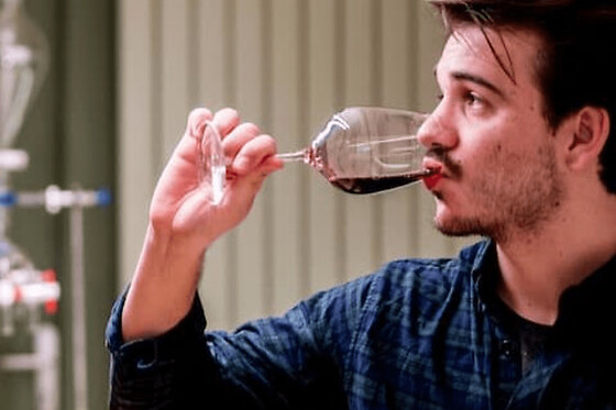 Atelier découverte du vignoble bordelais en 3 vins à Bordeaux