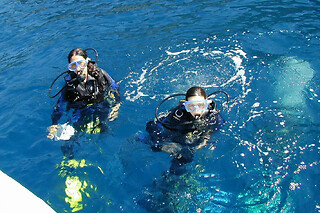 Pack découverte 2 plongées en baie de Villefranche (06)